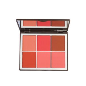 6 Color Elegant Matt & Silky Blushon – Sweetface blush on palette